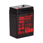 Interstate Batteries FAS0905 Power Patrol 6 Volt 4 Ah Fire & Security Battery Supplier in Dubai UAE and Saudi Arabia KSA