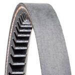 Timken Gold-Ribbon Cog-Belt Cogged V-Belt Supplier in Dubai UAE and Saudi Arabia KSA